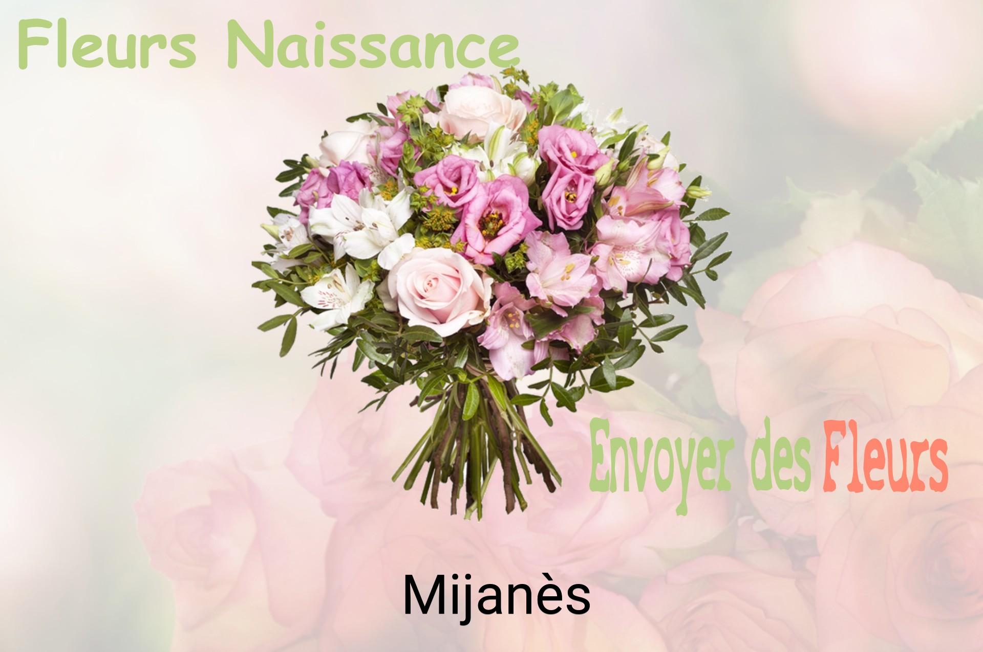 Bouquet de fleurs de naissance livré à Mijanès